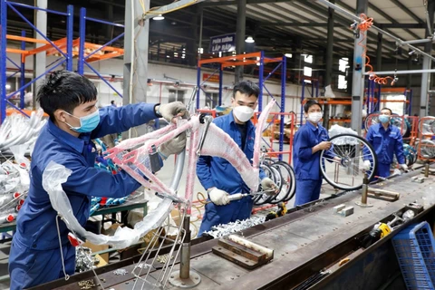 Công ty xe đạp Thống Nhất sản xuất xe đạp tiêu thụ thị trường trong nước và xuất khẩu. (Ảnh: Trần Việt/TTXVN)