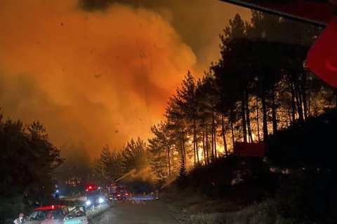 Hiện trường vụ cháy rừng ở tỉnh Canakkale (Thổ Nhĩ Kỳ) ngày 20/6/2024. (Ảnh: THX/TTXVN)