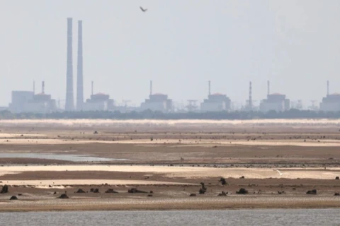 Nhà máy điện hạt nhân Zaporozhye trong một bức ảnh chụp hồi tháng Bảy năm ngoái. (Nguồn: AFP/France 24)