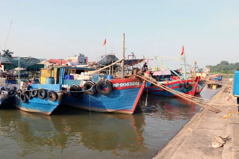 Nhiều tàu thuyền đang trở về tránh bão số 3 tại các cảng trên địa bàn thành phố Hải Phòng. (Ảnh: Hoàng Ngọc/TTXVN)