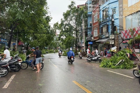 Giao thông đường Dương Văn Bé (Hà Nội) đã hoạt động trở lại sau khi lực lượng chức năng dọn dẹp cây đổ. (Ảnh: Nguyễn Văn Cảnh/TTXVN)