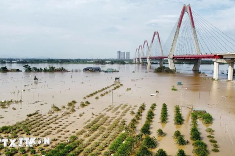 Cánh đồng làng đào hiện vẫn đang chìm trong biển nước dù mực nước đang hạ dần. (Ảnh: Hoàng Hiếu/TTXVN)