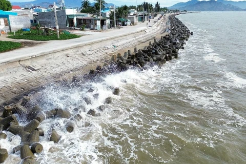 Ảnh minh họa. (Ảnh: Nguyễn Thành/TTXVN)