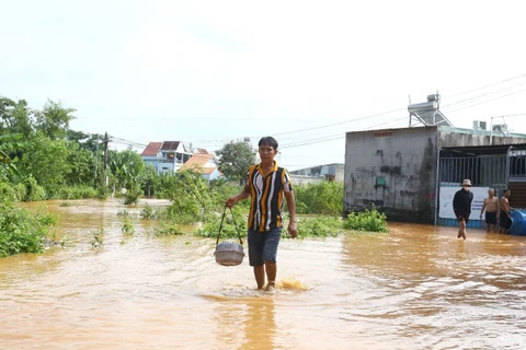 Lũ sông Buông dâng cao khiến hàng trăm nhà dân ở Đồng Nai ngập sâu