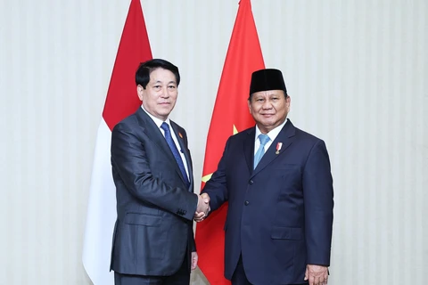 Chủ tịch nước Lương Cường gặp Tổng thống Indonesia Prabowo Subianto. (Ảnh: Lâm Khánh/TTXVN)