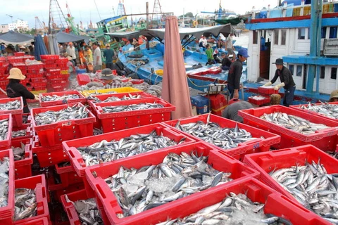 Những mẻ cá được chuyển lên bờ tại cảng cá Phan Thiết (Bình Thuận). (Ảnh: Mạnh Linh/TTXVN)