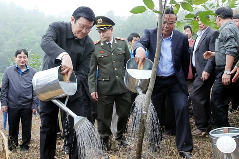 Chủ tịch nước phát động Tết trồng cây Xuân Giáp Ngọ 2014