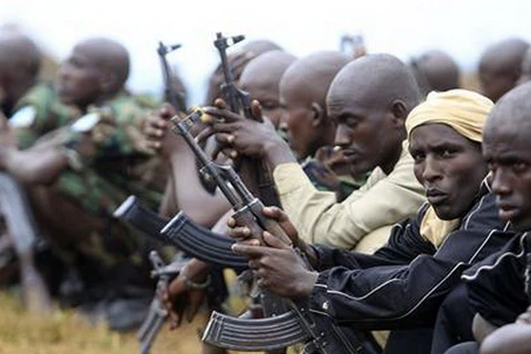 LHQ gia hạn nới lỏng lệnh cấm vận vũ khí với Somalia 