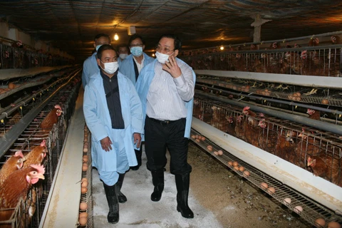 Phó Thủ tướng kiểm tra chống cúm gia cầm ở Lạng Sơn 