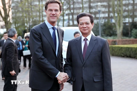 Thúc đẩy hợp tác Việt Nam-Hà Lan đi vào chiều sâu, hiệu quả
