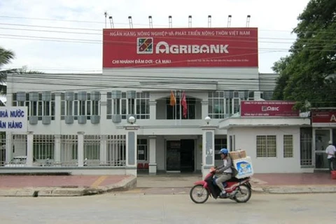 Kỷ luật, điều chuyển nhiều cán bộ Ngân hàng Agribank Cà Mau