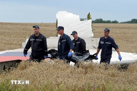 Các chuyên gia Malaysia tìm cách trở lại hiện trường MH17