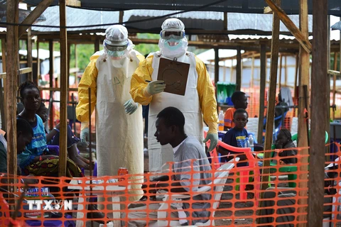 Quan chức y tế Tây Phi nhóm họp bàn chiến lược đối phó Ebola