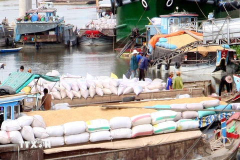 Xuất khẩu gạo: Tiêu thụ hết lượng gạo trong dân với giá cao