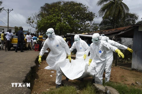 Liberia hủy bầu thượng viện do dịch Ebola hoành hành dữ dội