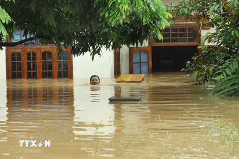 70% dân số Việt Nam sẽ đối mặt thảm họa do biến đổi khí hậu