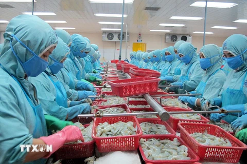 Cổ phần hóa công ty mẹ-Tổng công ty Thủy sản Việt Nam