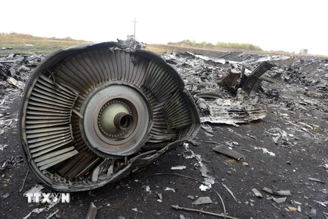 Nhóm điều tra quốc tế sẽ trở lại hiện trường vụ MH17 sớm 