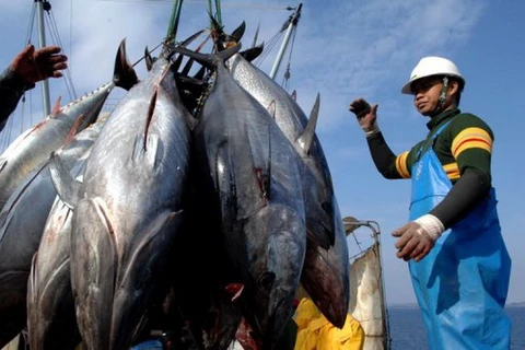 Nhật Bản ra luật siết chặt trừng phạt đánh bắt trái phép trên biển