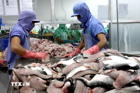 Việt Nam không bán phá giá filet cá tra, cá ba sa vào Hoa Kỳ 