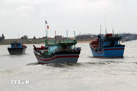 Bình Định sơ tán hơn 1.200 hộ dân vùng nguy hiểm ven biển 