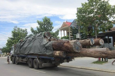 Lâm Đồng: Xe chở gỗ lậu tông chết một cán bộ kiểm lâm