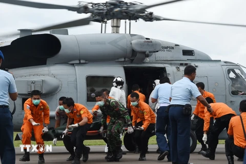 Quan chức Indonesia: Đã vớt được gần 30 thi thể nạn nhân QZ8501 