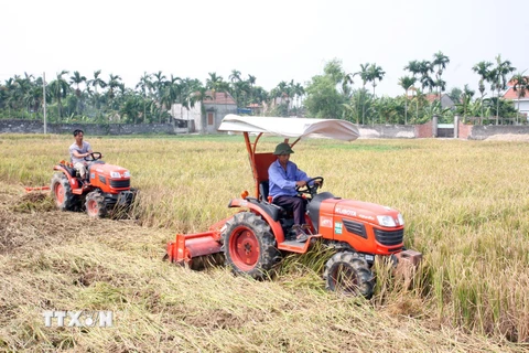 Tìm lời giải cho bài toán tái cơ cấu nông nghiệp Việt Nam