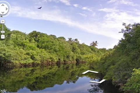 Khám phá vùng rừng nhiệt đới Amazon với Google Street View
