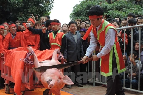 Nghi thức chém lợn tại lễ hội làng Ném Thượng (Bắc Ninh). (Nguồn: Tổ chức Động vật châu Á)