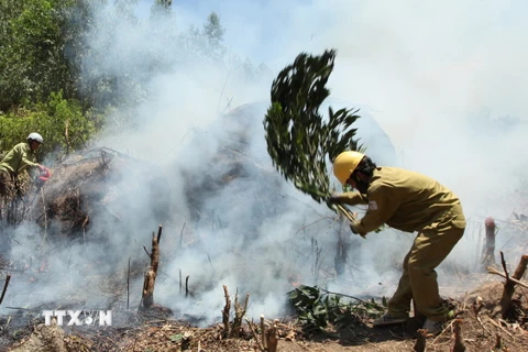 Cháy rừng dữ dội ở Nghệ An, lực lượng cứu hộ trắng đêm dập lửa
