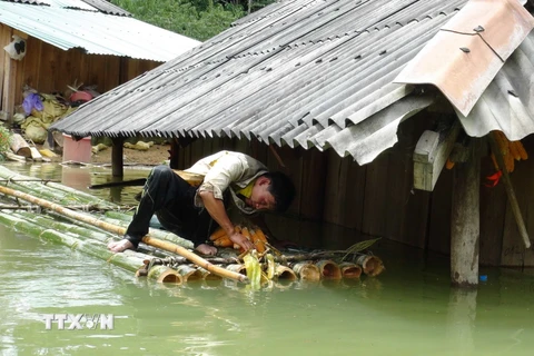 Nhà dân bị ngập sâu trong nước lũ ở huyện Thuận Châu, Sơn La. (Ảnh: Công Luật/TTXVN)