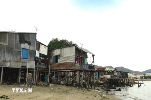 Các căn nhà tạm ở cửa sông Cái, thành phố Nha Trang luôn có nguy cơ bị sập khi triều cường xâm thực sẽ được bố trí lại chỗ ở. (Ảnh: Nguyên Lý/TTXVN)