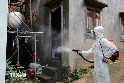 Phun hóa chất diệt tiêu độc, khử trùng, diệt bọ gậy tại Đawsk Nông. (Ảnh: Mai Hưng Thịnh/TTXVN)