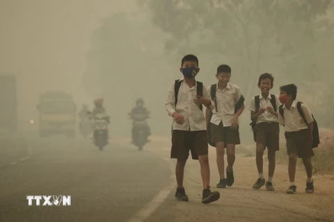 Khói mù do cháy rừng bao phủ tỉnh Jambi, Indonesia ngày 29/9. (Nguồn: Reuters/TTXVN)