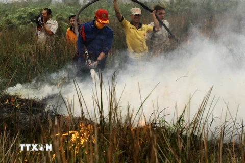 Nhân viên cứu hỏa Indonesia nỗ lực dập các đám cháy rừng tại Banyuasin, Nam Sumatra ngày 7/10. (Nguồn: AFP/TTXVN)