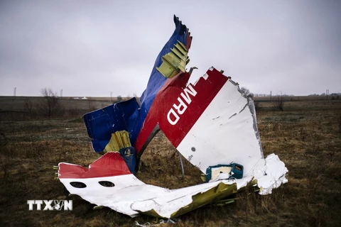 Một phần xác máy bay MH17 ở làng Grabovo, cách Donetsk, Ukraine khoảng 80km về phía đông ngày 10/11/2014. (Nguồn: AFP/TTXVN)