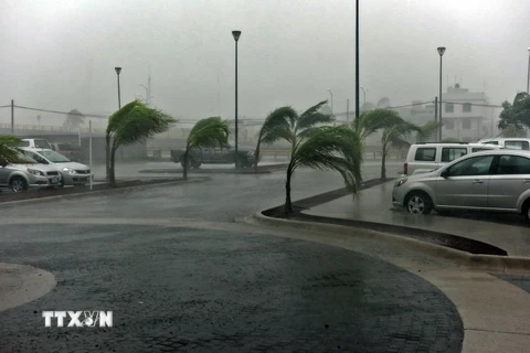 Đường phố ở Manzanillo, bang Colima, Mexico khi bão Patricia đổ bộ ngày 23/10. (Nguồn: AFP/TTXVN)