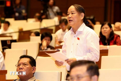 Đại biểu Quốc hội thành phố Đà Nẵng Huỳnh Nghĩa phát biểu ý kiến. (Ảnh: Phương Hoa/TTXVN)