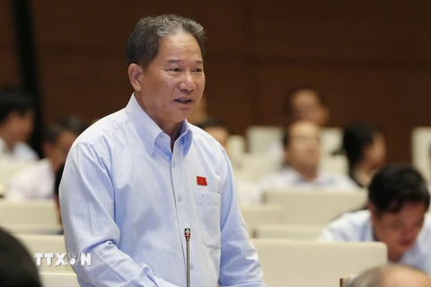 Đại biểu Quốc hội tỉnh Lâm Đồng Nguyễn Bá Thuyền phát biểu ý kiến. (Ảnh: Phương Hoa/TTXVN)