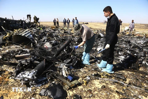 Nhân viên cứu hộ điều tra tại hiện trường vụ rơi máy bay Nga ở khu vực Hassana, thành phố Arish, bắc Ai Cập ngày 1/11. (Nguồn: THX/TTXVN)