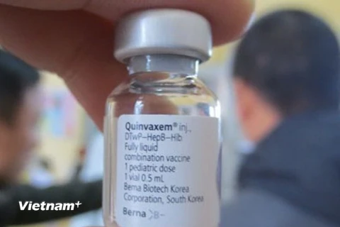 Vắcxin Quinvaxem. (Nguồn: Vietnam+)