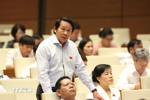 Đại biểu Quốc hội thành phố Đà Nẵng Thân Đức Nam phát biểu ý kiến thảo luận dự án Luật đấu giá tài sản. (Ảnh: Phương Hoa/TTXVN)