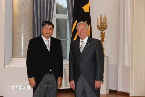 Đại sứ Đoàn Xuân Hưng và Tổng thống Đức Joachim Gauck tại lễ trình Quốc thư, ngày 10/11. (Ảnh :Mạnh Hùng/TTXVN)