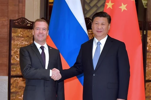 Chủ tịch Trung Quốc Tập Cận Bình gặp Thủ tướng Nga Dmitry Medvedev. (Nguồn: THX)