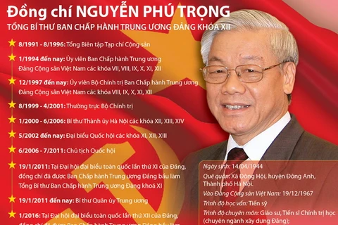 Tiểu sử Tổng Bí thư BCH Trung ương Đảng Khóa XII Nguyễn Phú Trọng