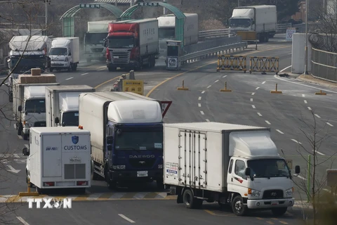 Xe chở công dân Hàn Quốc rời khỏi khu công nghiệp Kaesong ngày 11/2. (Nguồn: AFP/TTXVN)
