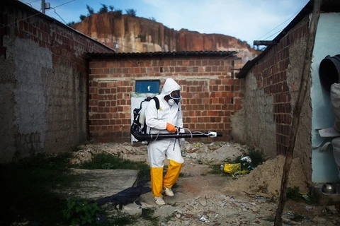 Phun thuốc diệt muồi phòng ngừa virus Zika lây lan. (Nguồn: Getty Images)