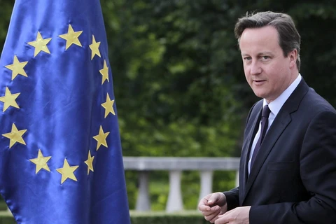 Thủ tướng Anh David Cameron. (Nguồn: Reuters)