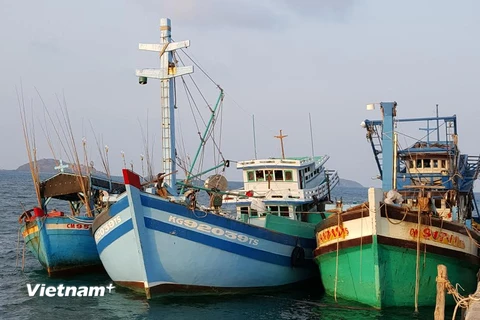 Các tàu cá Việt Nam neo đậu ở quân cảng Sattahip. (Nguồn: Phân xã Thái Lan)